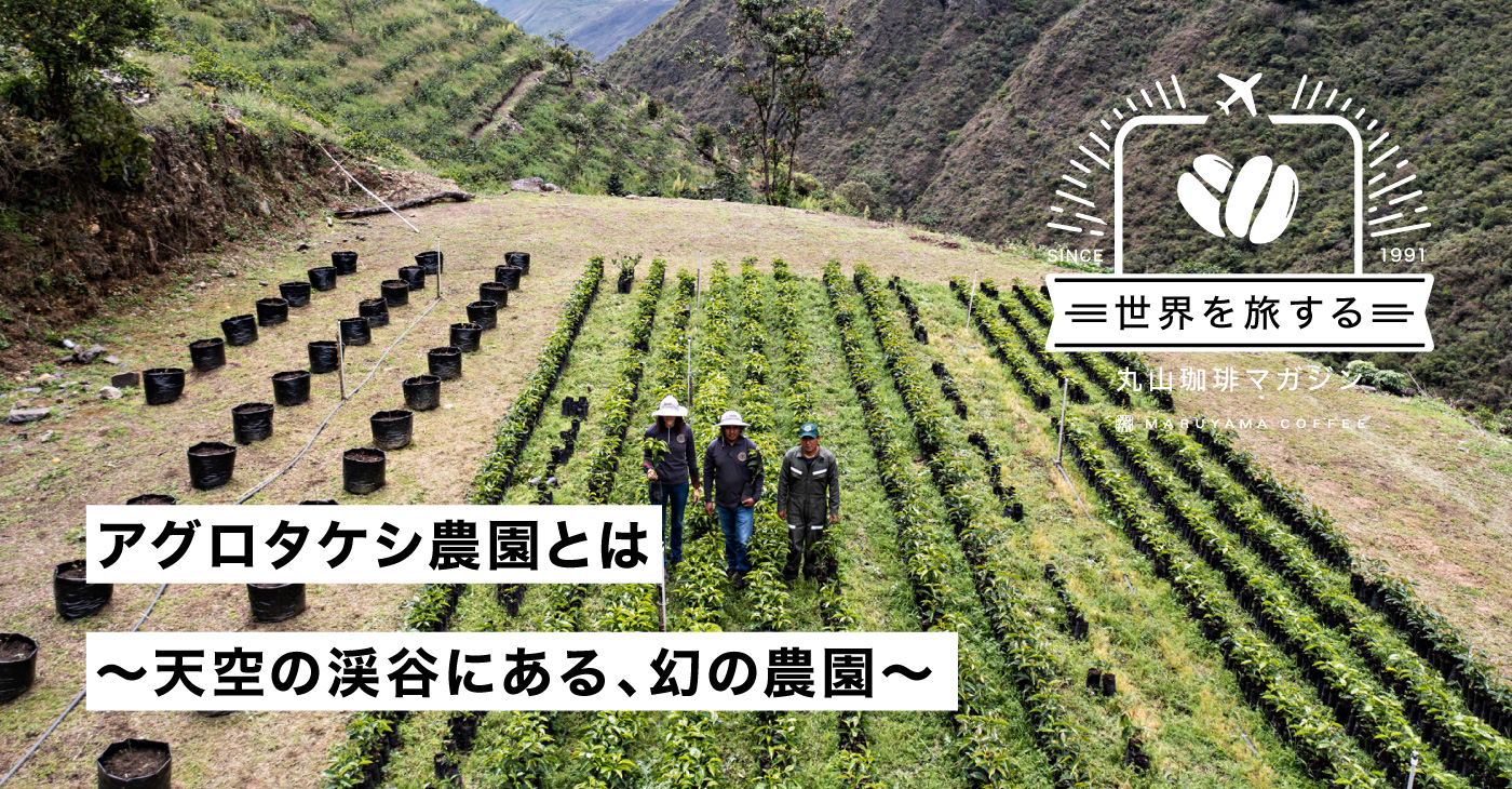 アグロタケシ農園とは　～天空の渓谷にある、幻の農園～